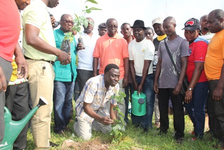 Nana Nana Dwomoh Sarpong planting a seedling.